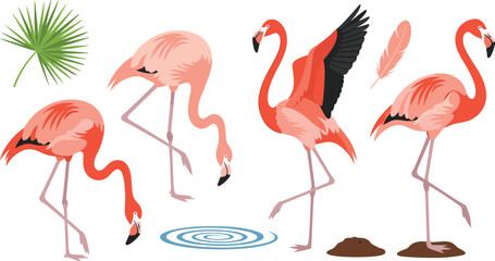 Fototapeta premium Set of Pink Flamingo Illustrations Featuring Diverse Standing and Grazing Poses with Tropical Palm Leaf and Feather Accents for Summer Wildlife and Exotic Nature Graphic Designs