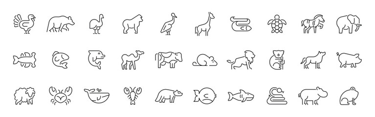 Fototapeta premium Animal outline icon set with editable stroke for wildlife and nature concepts in thin line style