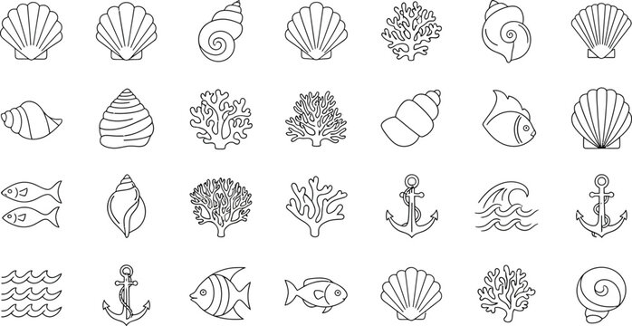 Collection of black line of marine life and nautical seashell conch shell spiral shell scallop shell