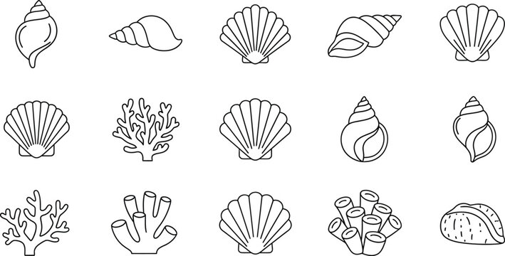 Collection of black line of various seashells and coral seashell conch shell scallop shell spiral shell