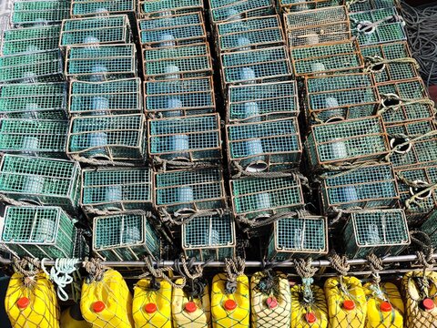 Fotograf&iacute;a de nasas, trampas de pesca, en un barco pesquero.