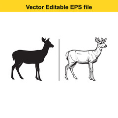 Fototapeta premium Vector art of silhouette and sketch of a deer standing