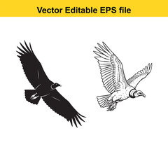 Obraz premium Vector art of two eagles in flight, one in silhouette and the other detailed