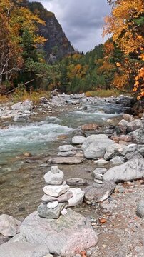 The rich hues of autumn foliage create a stunning contrast against the backdrop of the rocky mountains and clear waters of the Kyngyrga River in Arshan.