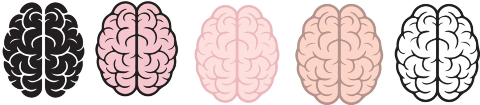 brain icon set anatomy neuro icon isolate white brackground