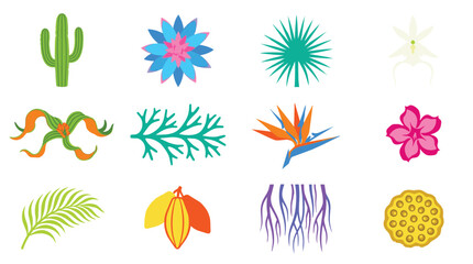 Fototapeta premium Collection of stylized tropical flora and desert succulents with vibrant colors and clean lines