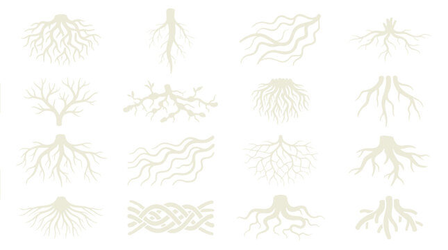 Collection of diverse plant root systems in white isolated on a clean background