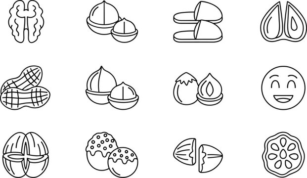 Nut and Fruit Icon Set Featuring Various Nut Shapes, Peels, and Cracked Shells for Food and Snack Designs