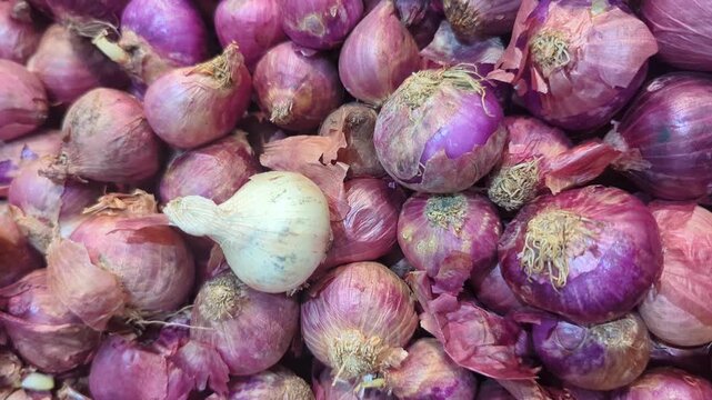 Top view of fresh red shallots (allium ascalonicum) pile at a traditional market.