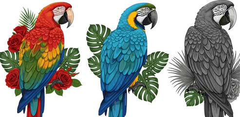 Colorful Macaw Parrot Set with Tropical Leaves and Flowers Detailed Exotic Bird Illustration Isolated on White Background Vector Collection © MdMojnu