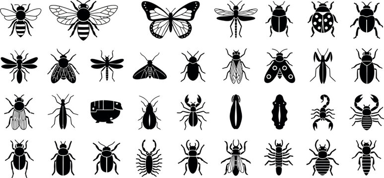 Collection of black insect including bees butterflies beetles scorpions and mantis