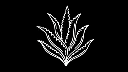 Fototapeta premium Elegant White Agave Plant Icon on Black Background - Minimalist and Botanical Design