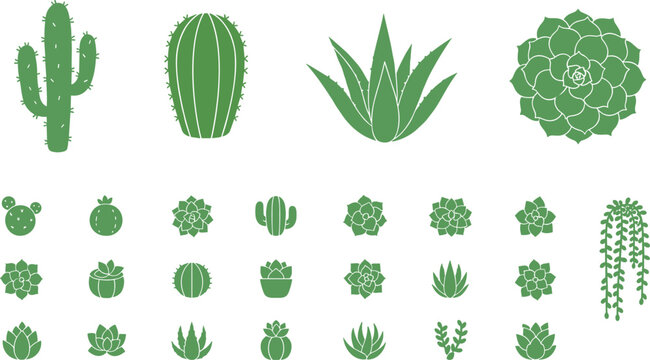 Collection of green plant silhouettes featuring diverse cacti and succulents for botanical design and nature concept vector.