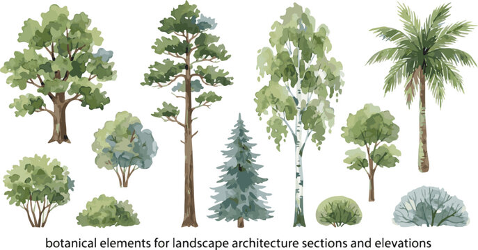 Generate a kinds of deferent Watercolor tree vector in side view painting botanical for section and elevation landscape plan and architecture layout drawing, elements for environment vector art .