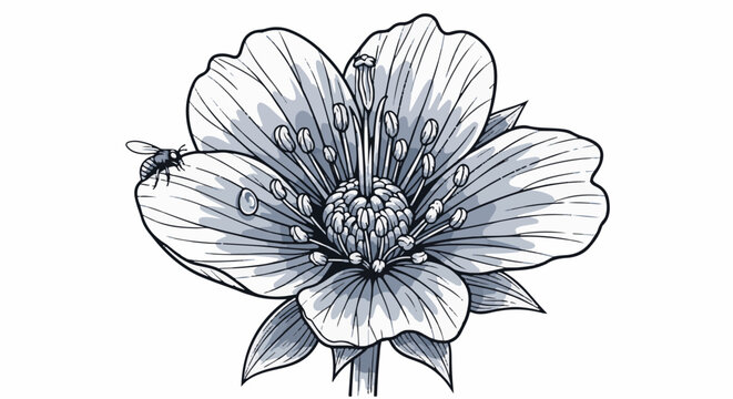 Detailed black and white illustration of a blooming flower with a bee on a petal