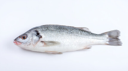 Obraz premium Fresh whole fish on white background emphasizing family bonds and togetherness