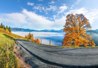 Naklejka premium Incredible view of the meadows and mountains around Zell lake or Zeller See