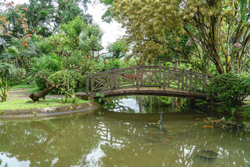 Obraz premium Wooden bridge over calm pond in lush garden, reflection on water with tropical greenery, serene park landscape for relaxation background with copy space