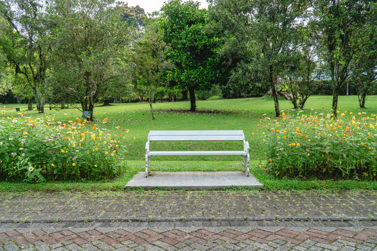 White bench facing a lush green park with blooming flowers and trees, creating a calm and inviting outdoor space for relaxation.