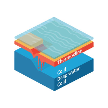 Diagram of Thermocline Layer in Water with Temperature Gradient.