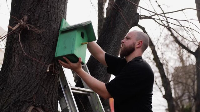 Bearded man installing green wooden birdhouse on tree using ladder in park, caring for wildlife and creating nesting place, outdoor spring activity, DIY bird feeder setup