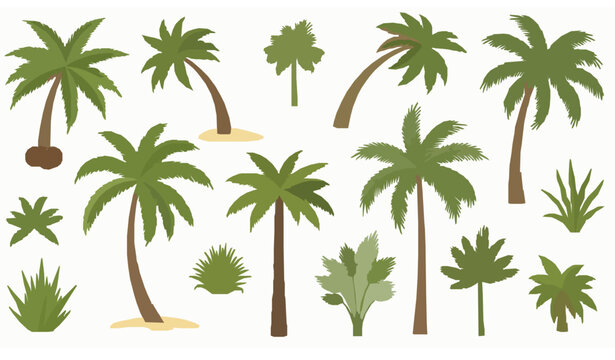 Creative tropical palm tree vector set with coconut palms and exotic island foliage for summer beach and nature design