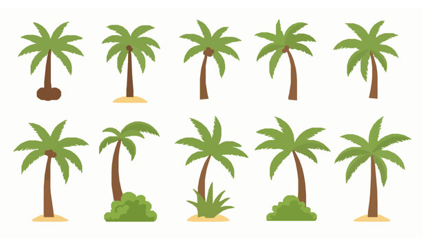 Tropical palm tree vector set with coconut palms and exotic island plants isolated on white background for summer design