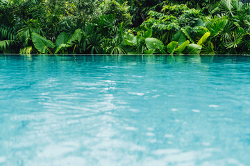 Tropischer Pool im Regenwald – türkisfarbenes Wasser, Entspannung und Luxusurlaub in exotischer Natur © christophe papke
