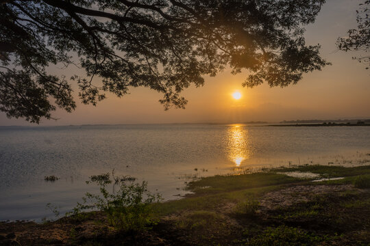 Parakrama Samudra Lake Surrounded by Nature Polonnaruwa Sri Lanka