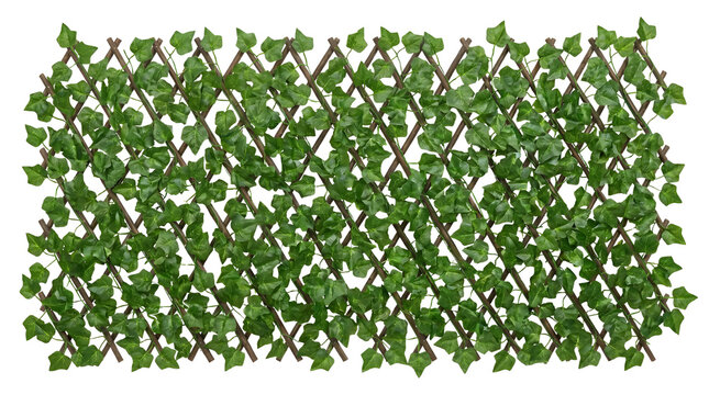 Artificial ivy leaf privacy fence, expandable wooden trellis with green foliage, decorative garden screen for balcony and backyard landscaping