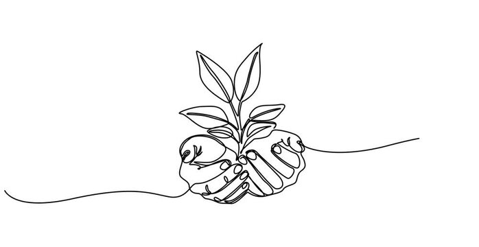 Animated self drawing of continuous line draw of hand holding plant with leaf.  Full length one line animation. 4K, Hands holding leaves branch continuous line drawing animated video. Plant in hands.