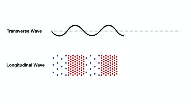 Transverse and Longitudinal Wave Diagram Animation Showing Compression, Rarefaction, and Air Molecule Motion for Physics Education