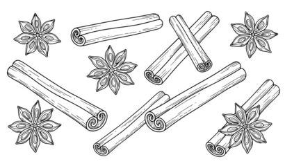 Creative cinnamon and star anise outline vector set with detailed spice icons for cooking baking and natural food design © MstLaily