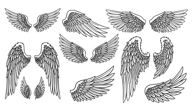 Creative angel wing outline vector set with thin black line featuring feathered wings for tattoo spiritual and decorative use