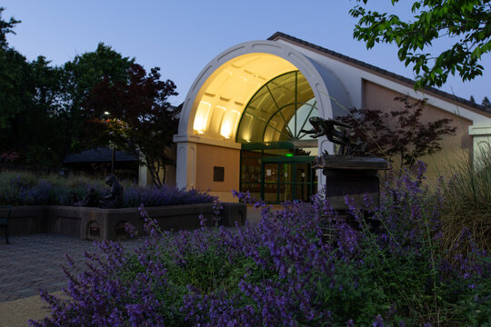 Pleasanton Library