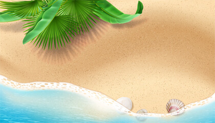 Obraz premium Beach top view with gentle foam, tropical greenery and seashells. Vector realistic marine and wildlife presence. Coastal landform with tropical flora and fauna. Summer landscape and vacation