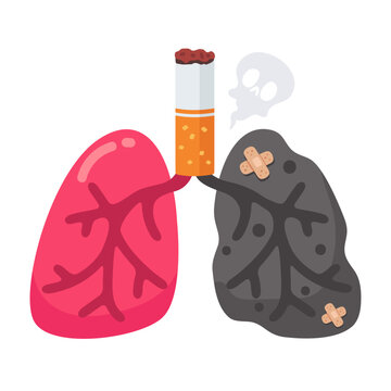 Smoking's Deadly Toll Healthy Lung vs. Damaged Lung by Cigarette, Illustrative Graphic