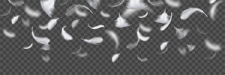 Soft feather falling, floating quills background. Weightless plume drifting through space. Creative surface design. Vector realistic decorative backdrop with tranquil mood and graceful balance © Sensvector