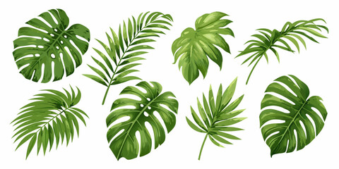 A vibrant collection of diverse tropical leaves against a white background © Sudhakar