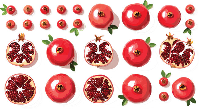 PrintPomegranate fruit vector illustration set with whole fruits sliced halves seeds and detailed arils fresh juicy healthy food collection isolated