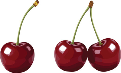 Fresh cherry vector illustration with single and double cherries glossy red fruits with stems realistic style isolated on white background © MstLinaAkter