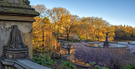 Central Park in spring with flowers in  boom © John Anderson