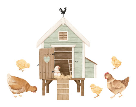 Watercolor set with chicken coop, chickens and chicks. Isolated rustic collection with cute farm animals and cartoon house for your design.