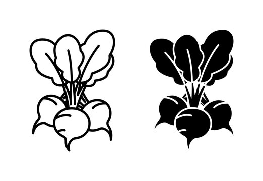 Beetroot vegetable line and silhouette icon set
