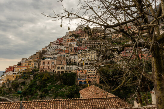 Scenic panoramic aerial Positano vista in springtime with the silk floss tree in the foreground, Amalfi Coast, Italy