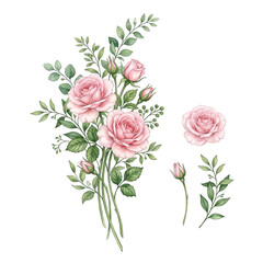 Fototapeta premium Hand painted watercolor pink roses bouquet isolated on transparent background