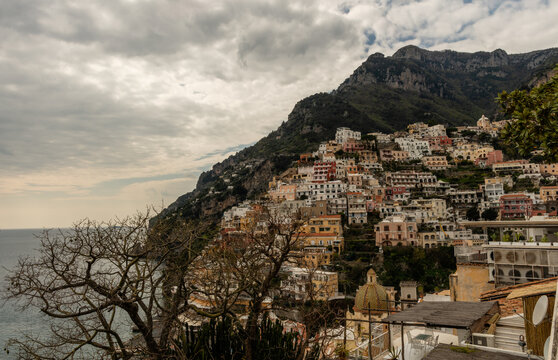 Scenic panoramic aerial Positano vista in springtime with the silk floss tree in the foreground, Amalfi Coast, Italy