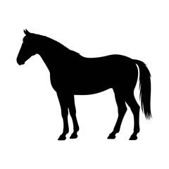 Obraz premium Vector silhouette of a horse standing alone in a plain area