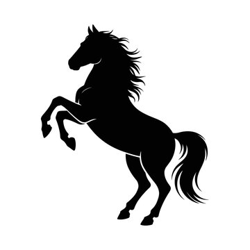 Vector of a black horse rearing up on its hind legs in a dynamic pose.