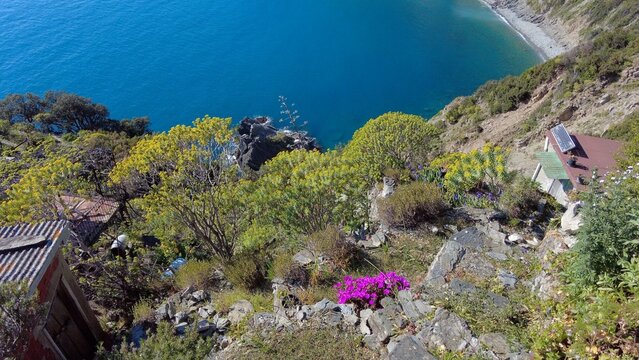 Italy, Liguria, La Spezia - Monesteroli in the Cinque Terre National Park is a small, almost uninhabited village famous for its 2,200-step staircase overlooking the sea, tourist trekking  walking path